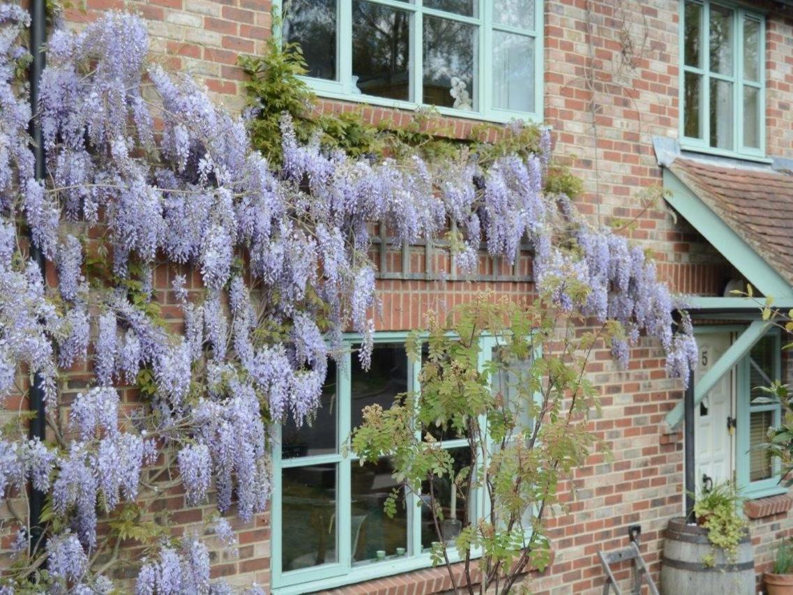 5 Charlton Mill Way B&B Чичестер Экстерьер фото